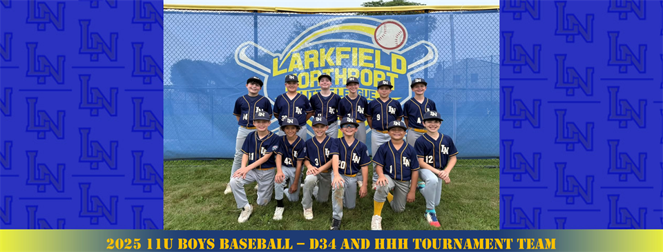 11u Boys Baseball - D34 and HHH Invitational Team